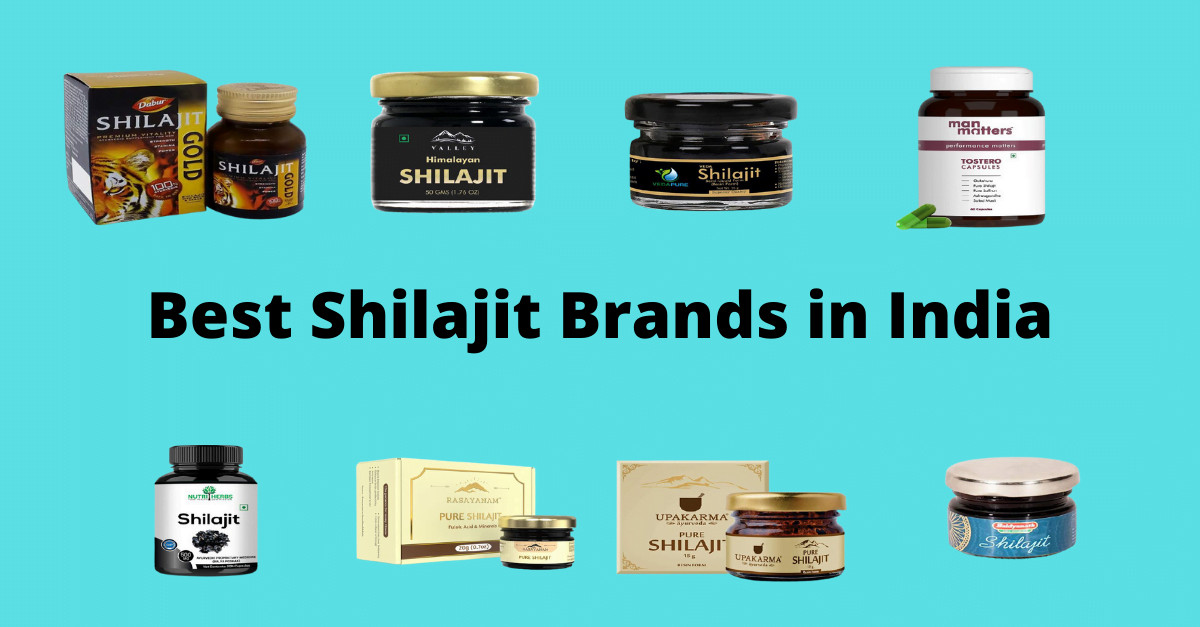 Best Shilajit Brands In India