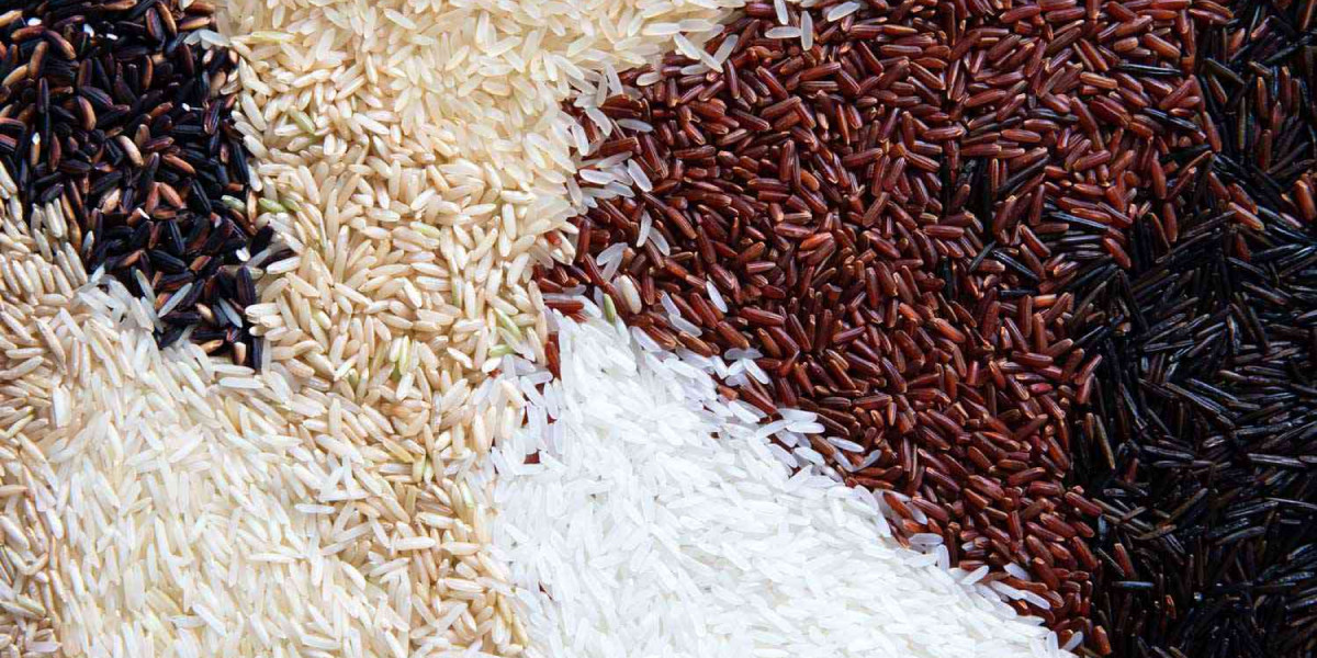Different types of Rice