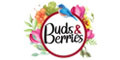 Buds And Berries