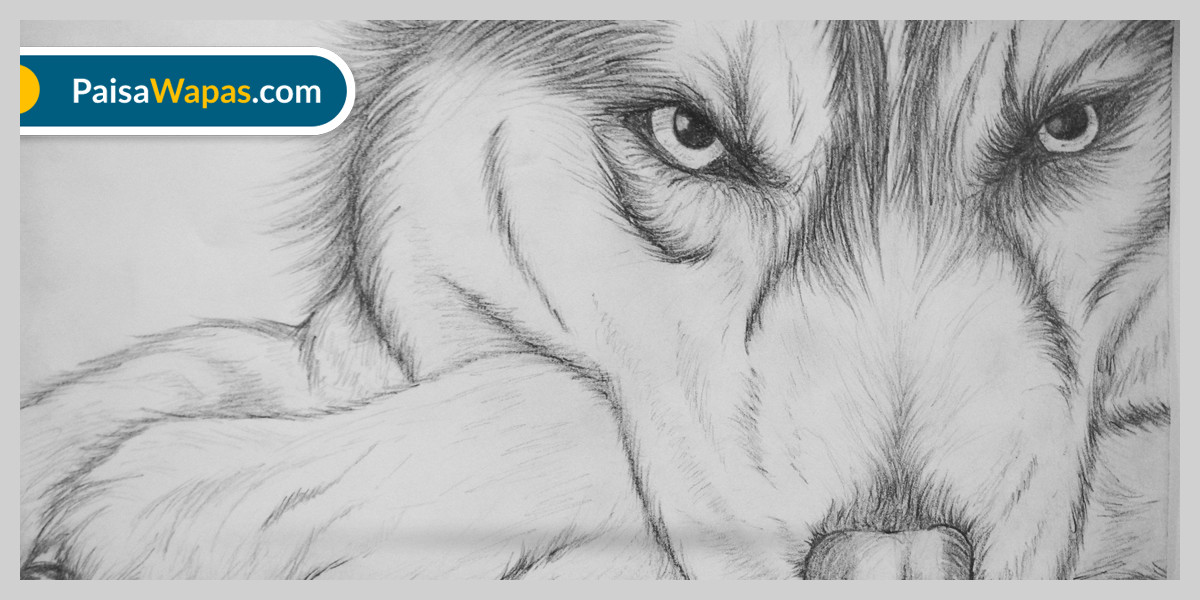 Pencil drawing: Learn to sketch with pencil | Adobe-saigonsouth.com.vn