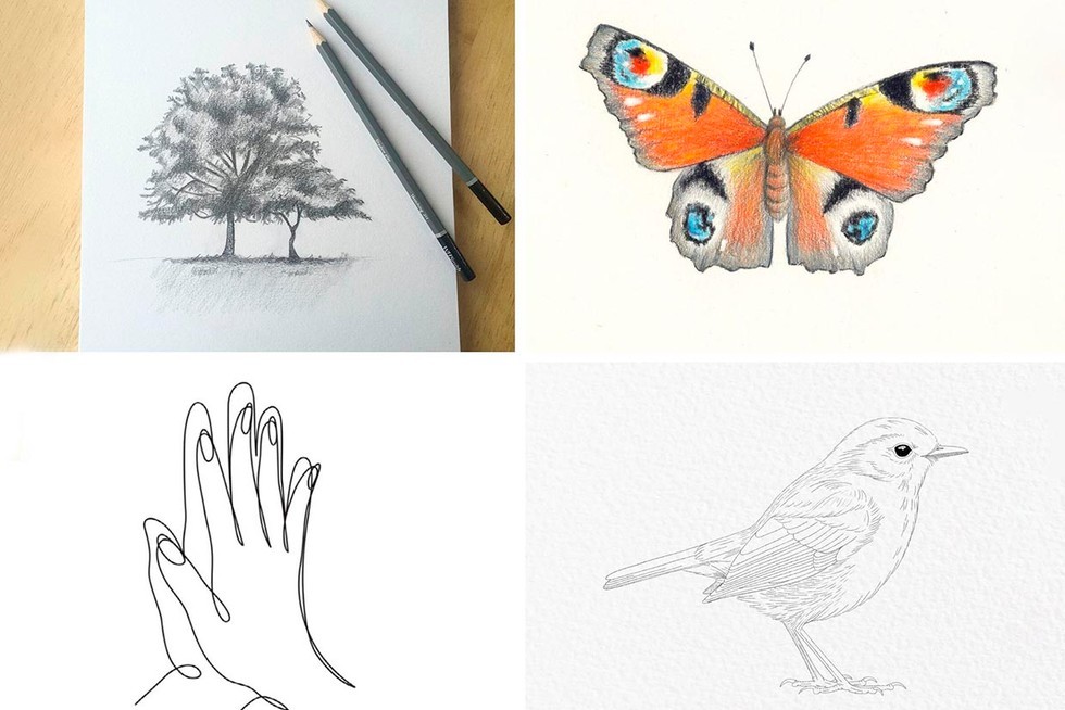 70 easy drawings for kids to develop their creativity and imagination