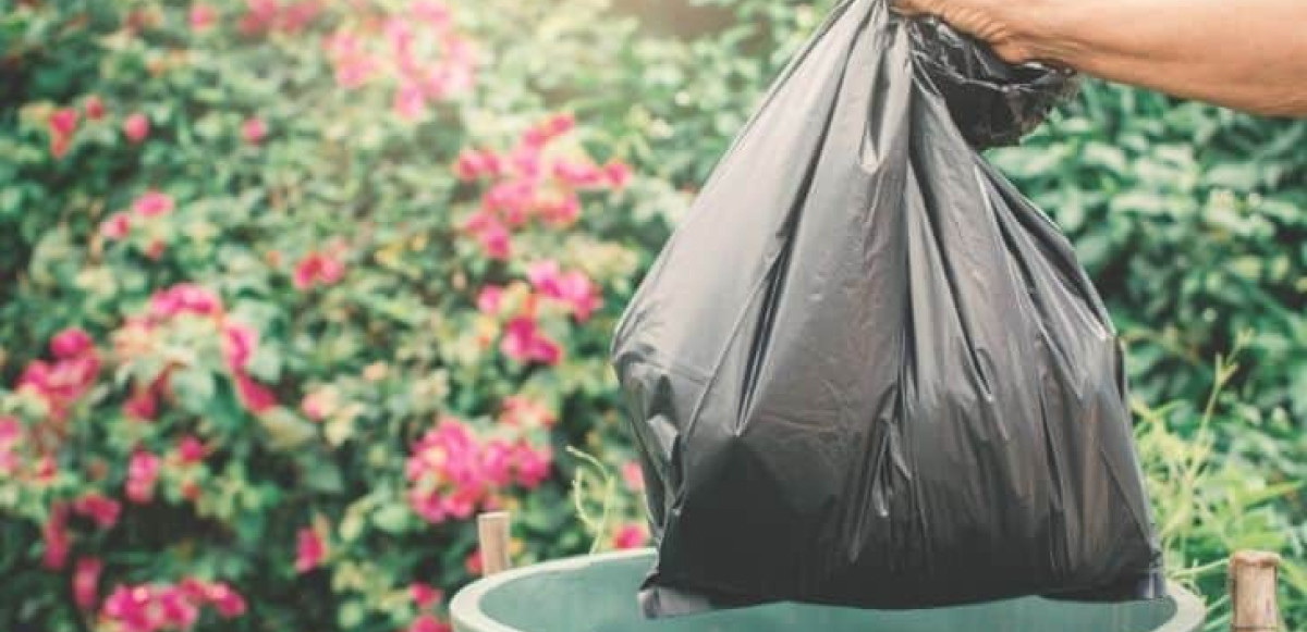 How long do biodegradable bags take to decompose? - BBC Science Focus  Magazine