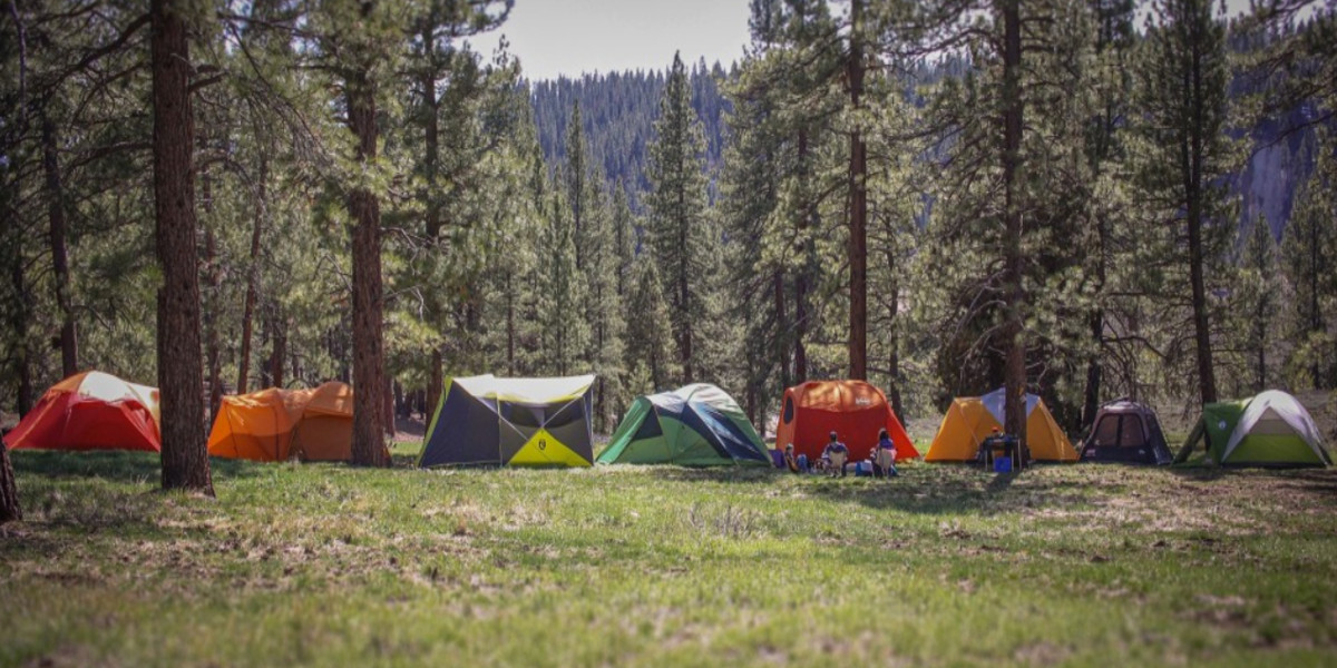 Top 7 Best Camping Tent Brands In India September 2023